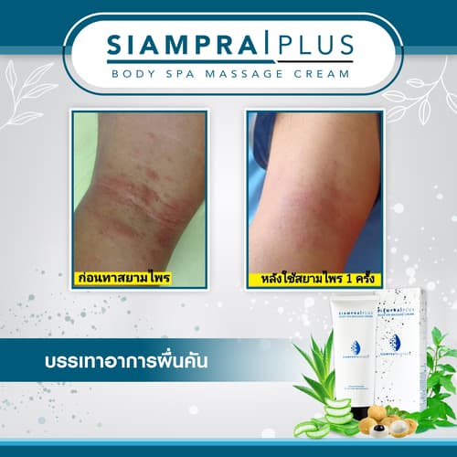 Siamprai Review